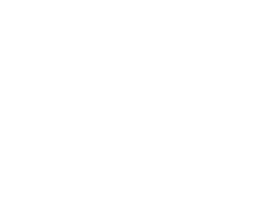 Summit Wealth Group logo