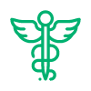 Health Savings Icon