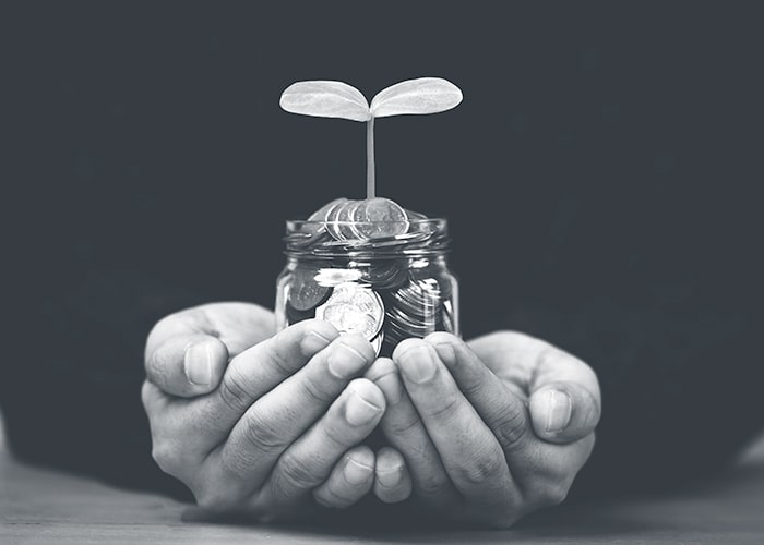 Hands holding a glass jar with coins with a plant sprouting from the top