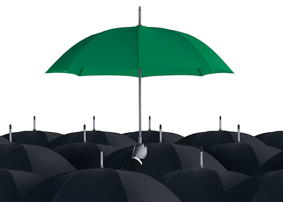 Green umbrella above black umbrellas